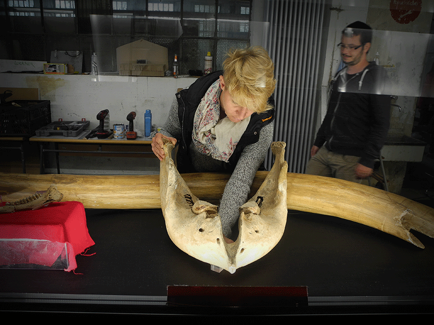 julita_jaba_design_Fundort_Pfaennerhall_Aufbau_4