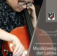 Latina_instrument2